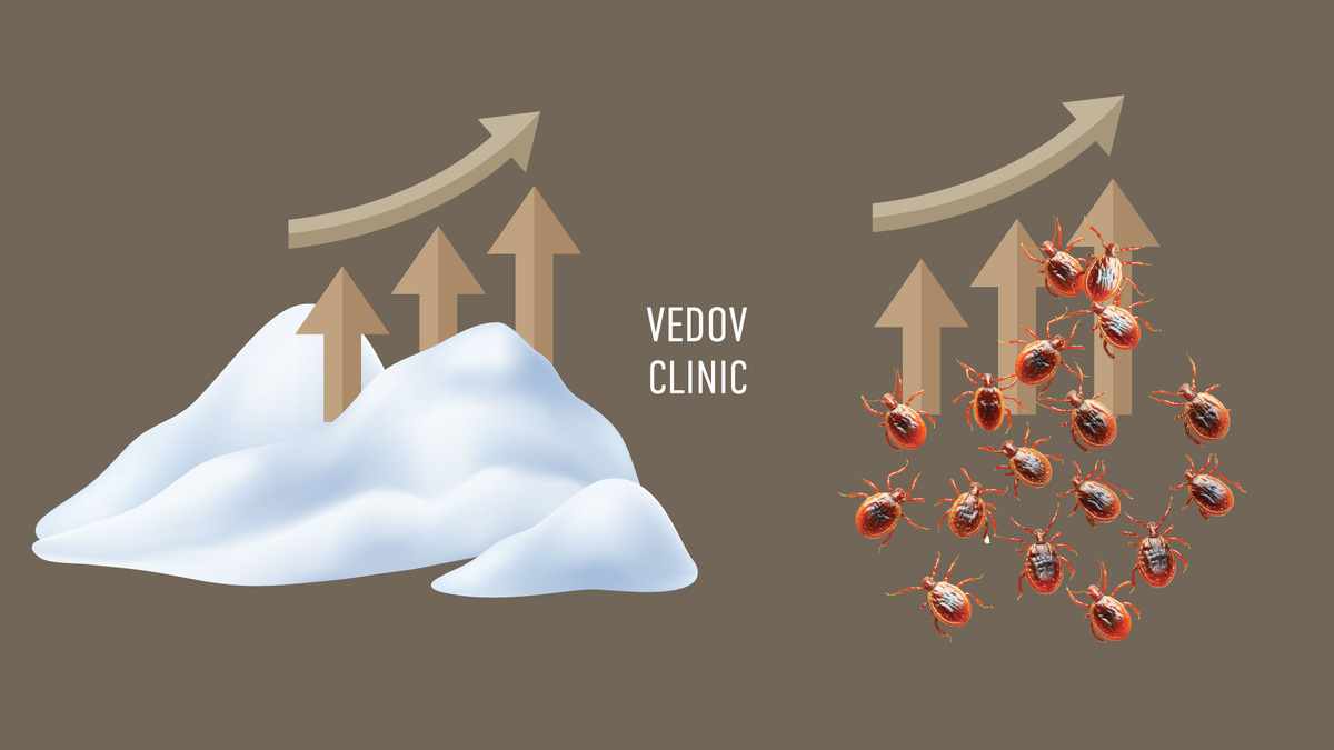 Аномальное количество снега зимой  — это  резкое увеличения численности насекомых