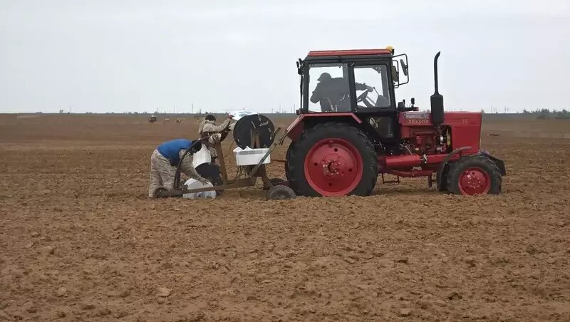В Астраханской области свободно около 500 вакансий в сфере сельского хозяйства