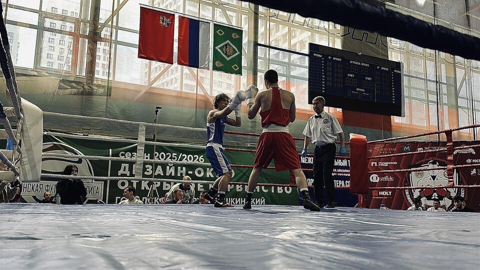     REGIONS / Кристина Тришина