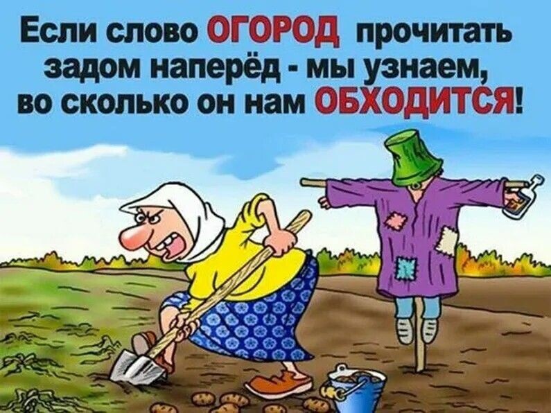 Народная мудрость...