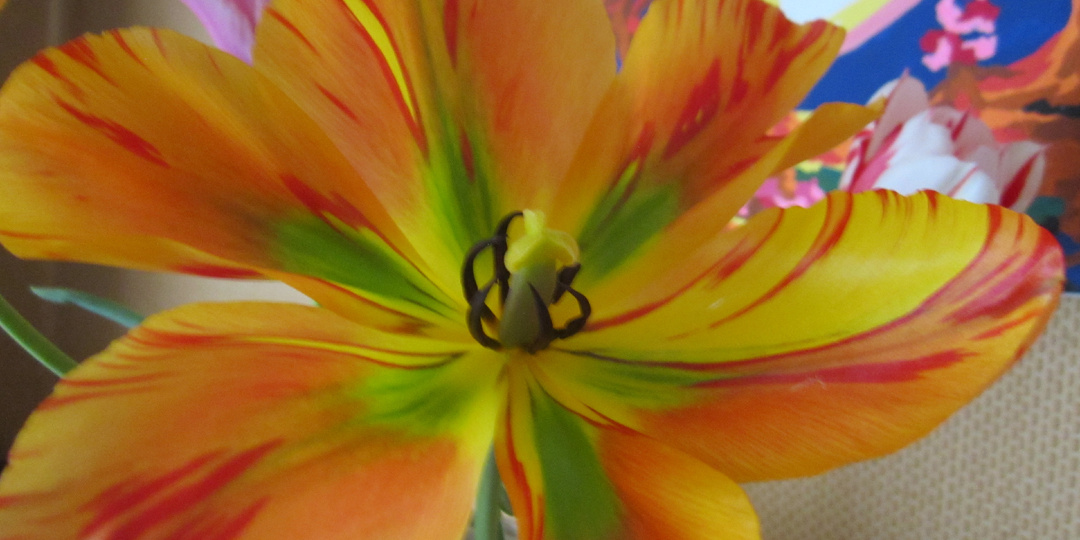 Шок! Мой Цветок Оказался ...