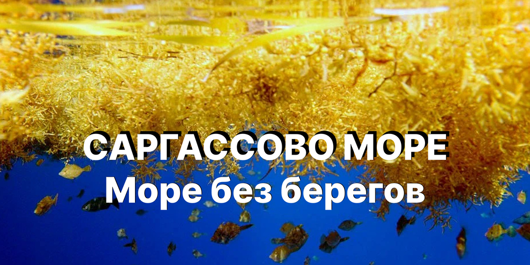 Саргассово море: здесь исчезли 3000 кораблей. И никто до сих пор не знает почему