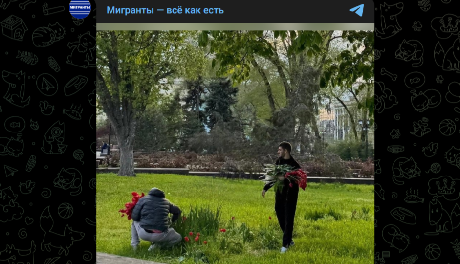 "У тебя дома будем хозяева": бородачи вступились за обворовавших клумбу "братьев"