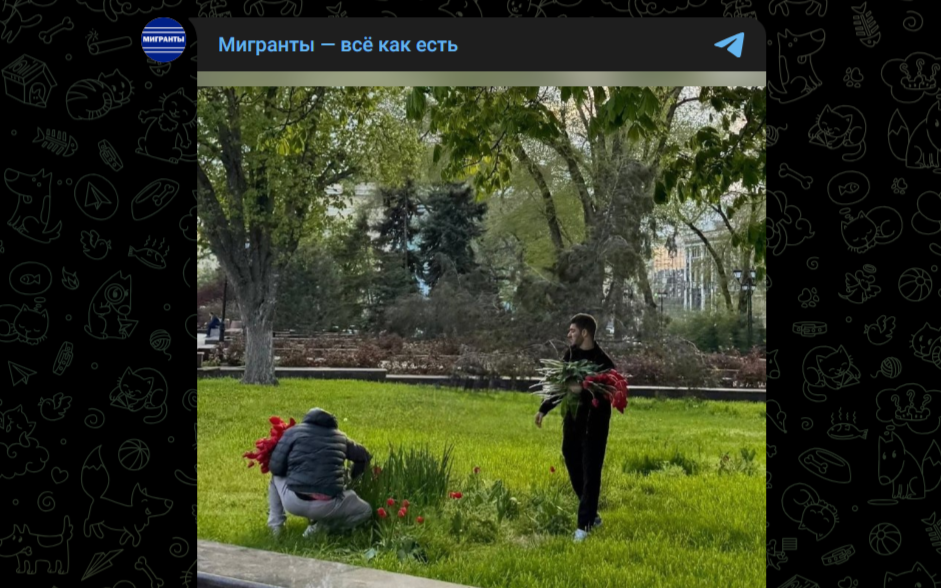 Фото: Telegram-канал "Мигранты - всё как есть"