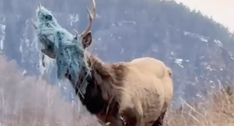    Скриншот с видео / Катерина Трубачева