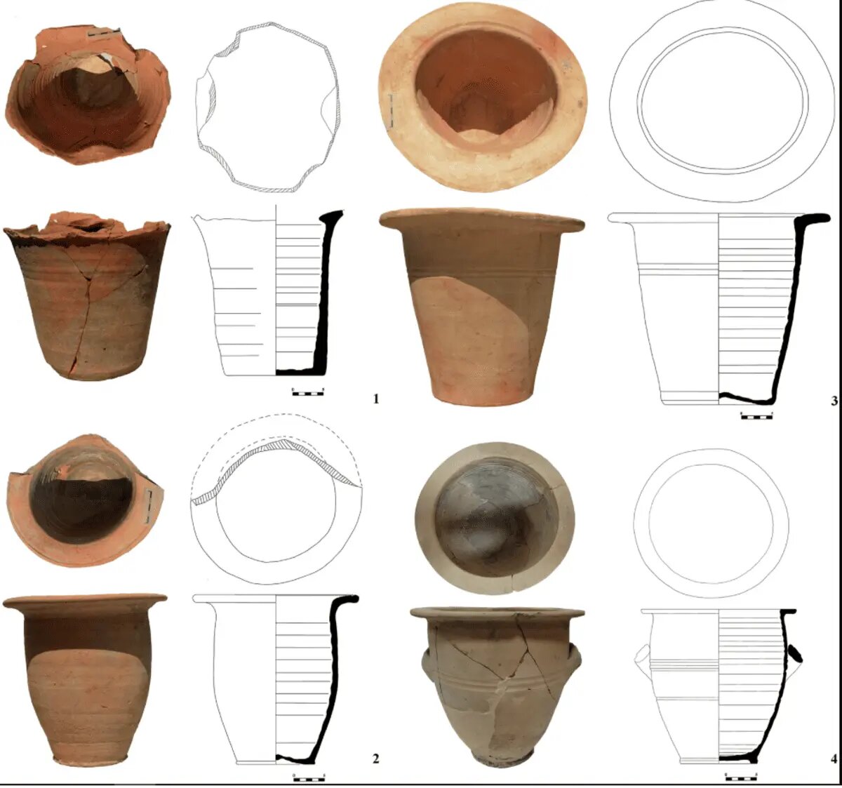    Источник: naked-science.ru Оксана