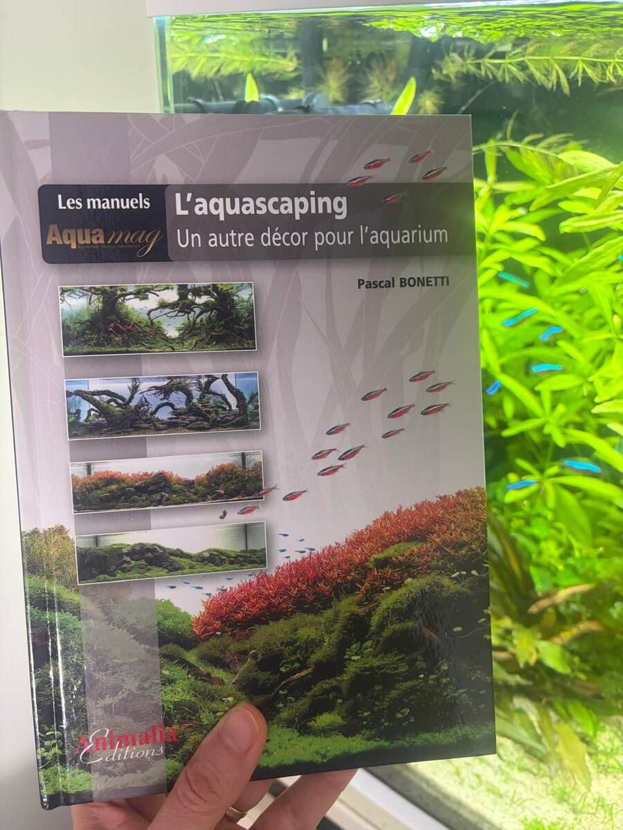 Обратите внимание, как неоны из моего аквариума плавно "переплывают" и вливаются в стайку неонов на обложке книги!)))