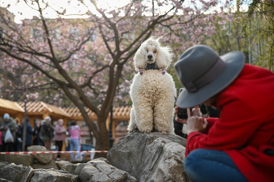    В первый год жизни питомец должен посетить клинику 4-6 раз. Алексей БУЛАТОВ