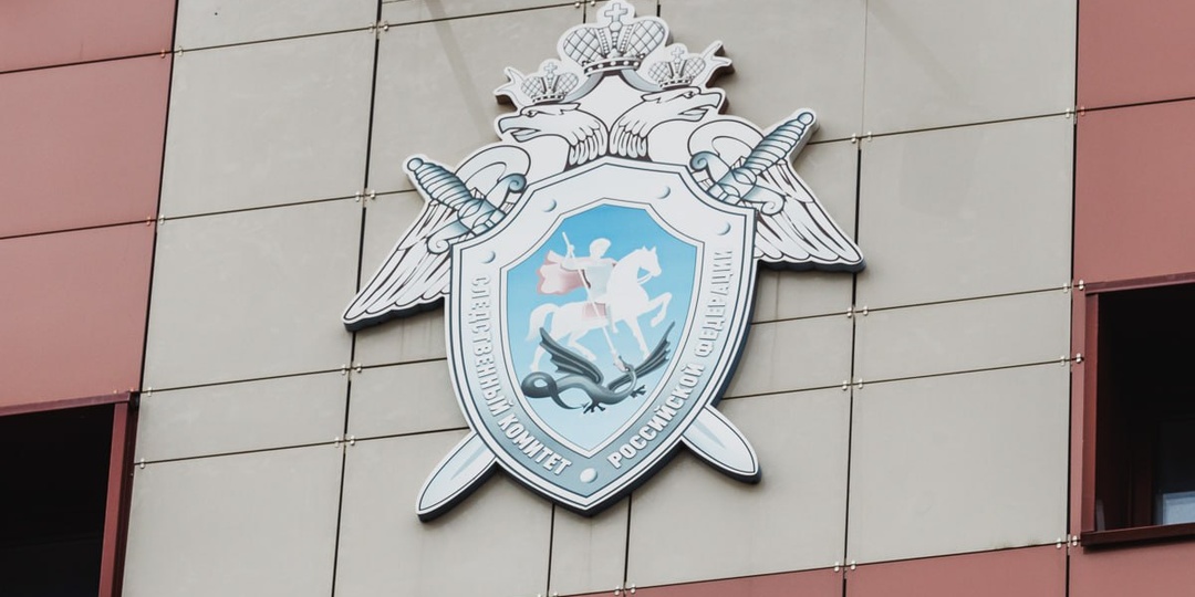 В Челябинске осудили бизнесмена за попытку подкупить лесника