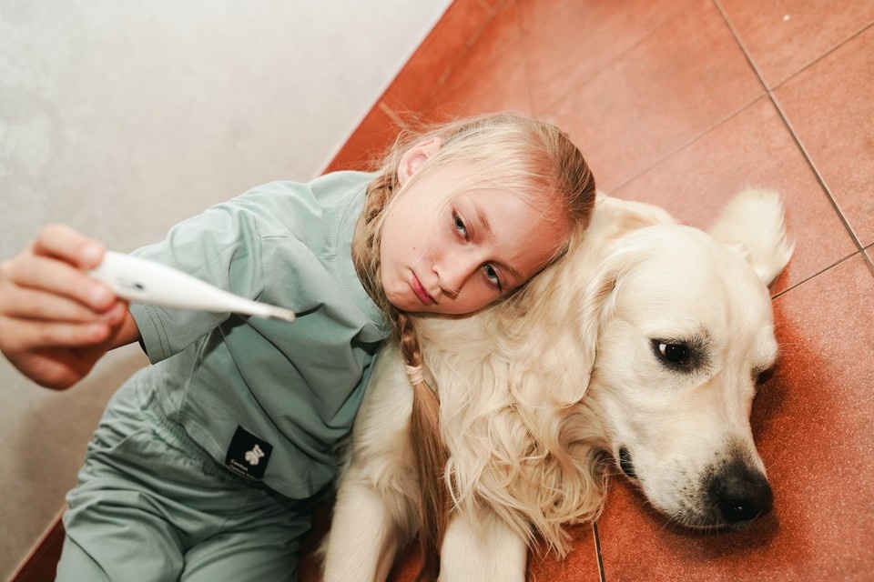    Фото: Маковеева Светлана, "Комсомольская правда"