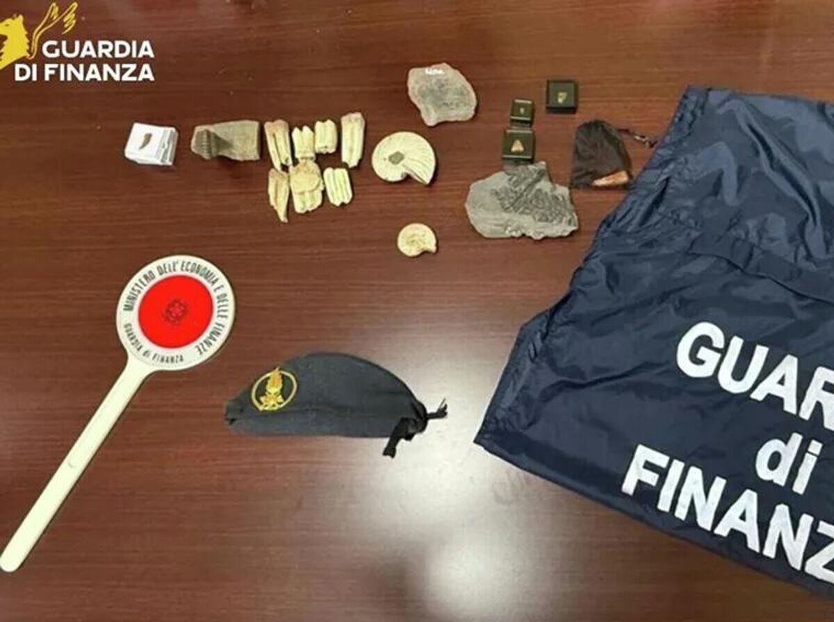    Финансовая гвардия Италии пресекла незаконный ввоз и оборот палеонтологических материалов | © Фото : Guardia di Finanza