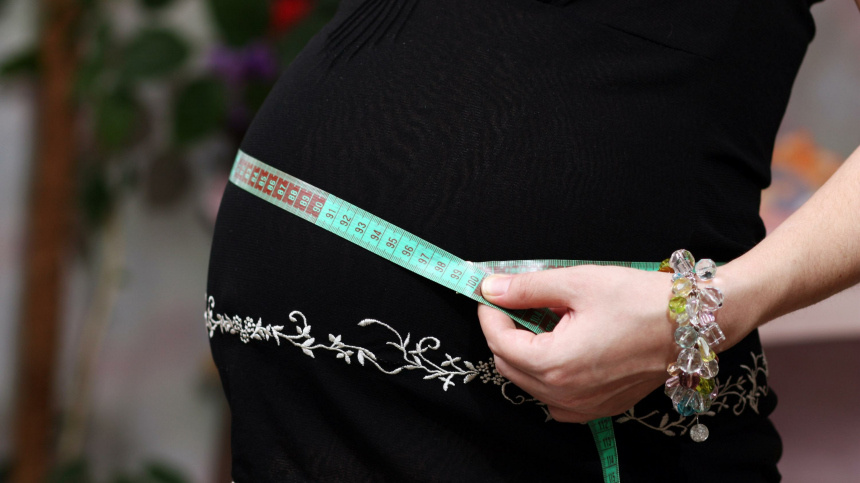    Фото: www.globallookpress.com/Andrey Arkusha; 5-tv.ru