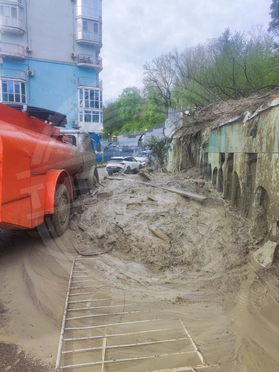    Фото: Telegram/ТИПИЧНЫЙ СОЧИ