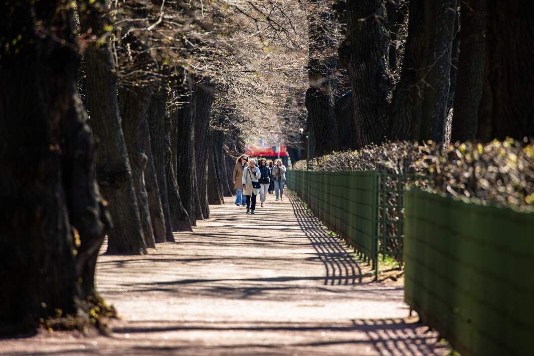 Фото: ИЗВЕСТИЯ/Телеканал «78»