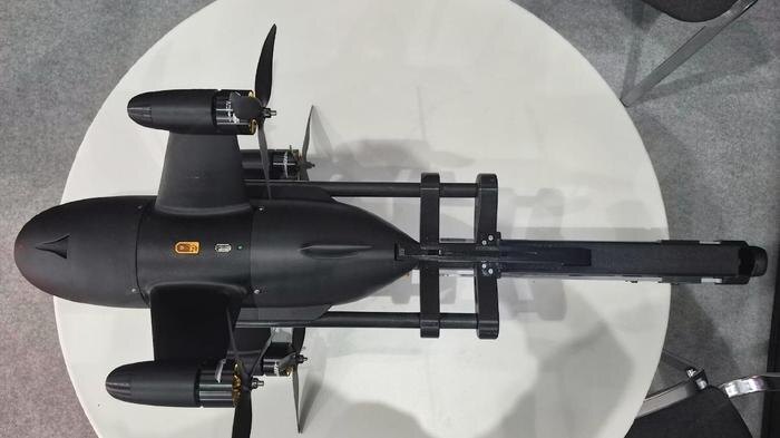 Обложка © Telegram/ Mash