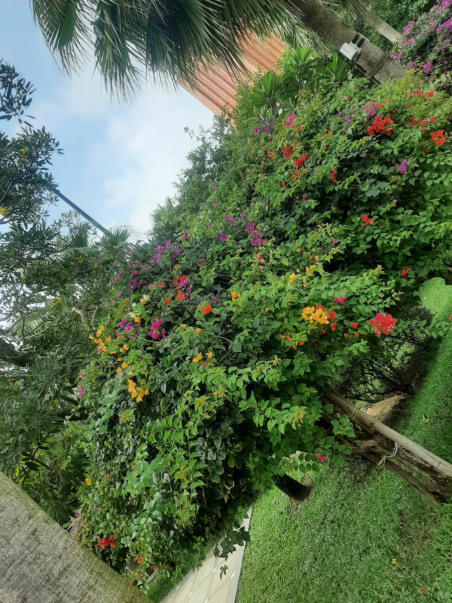 Фото автора. Вьетнам