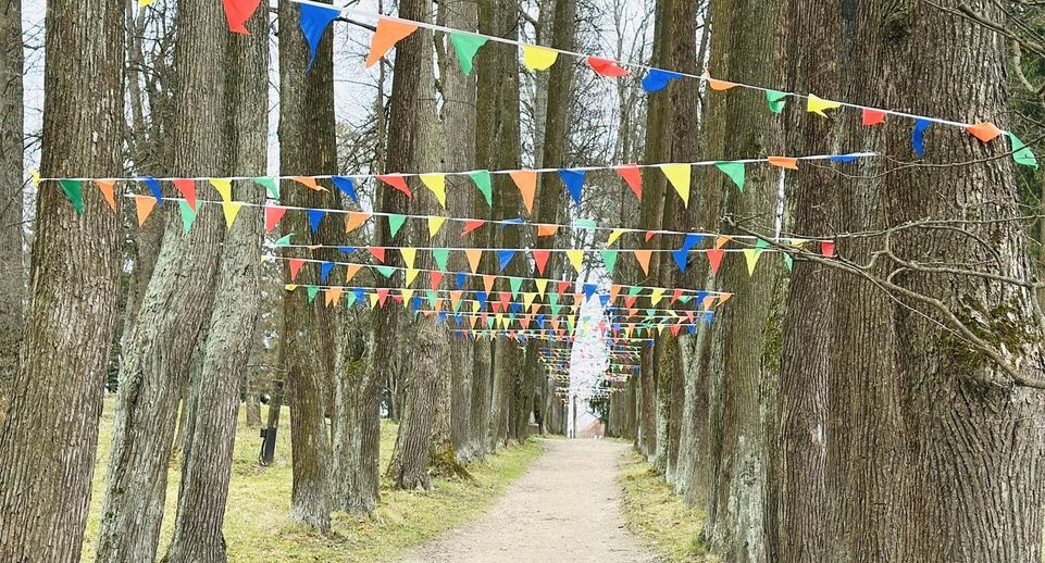    Кристина Тришина