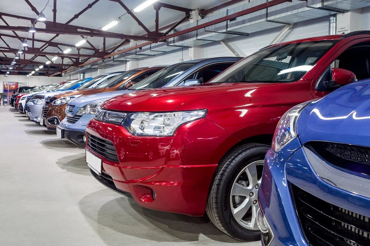    Фото: Shutterstock