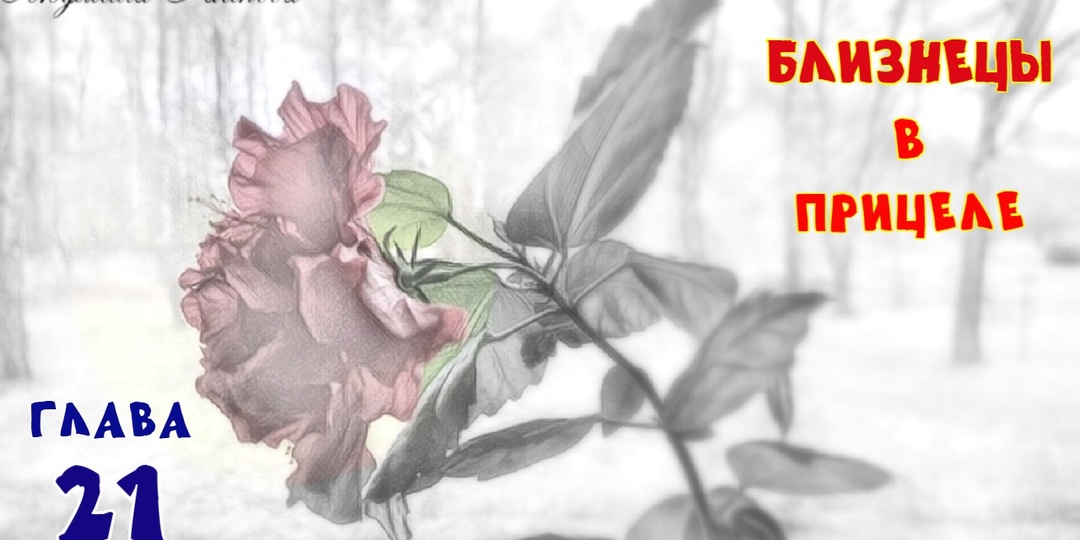 Близнецы в прицеле. Глава 21 (Текст)