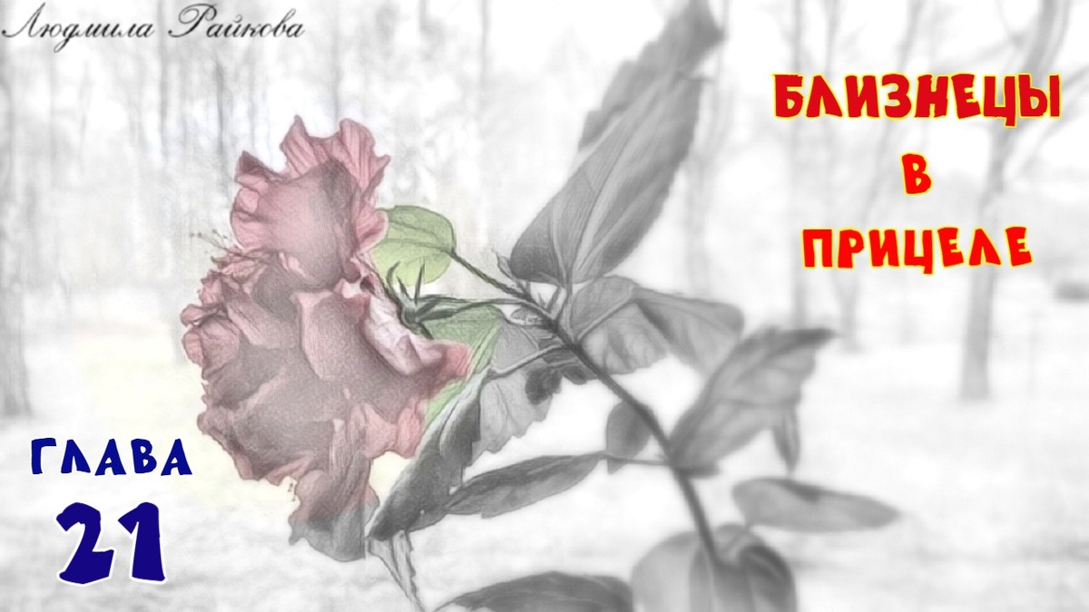 - Ты видела какой подарок ждёт дома? Маня не видела, хватает свой телефон, открывает МАКС и ахает, высаженная месяц назад роза зацвела... 