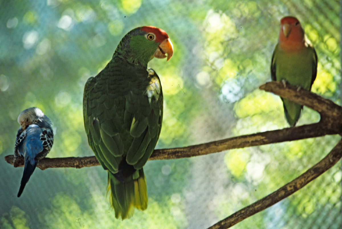 ©РИА Новости/Петшаковский