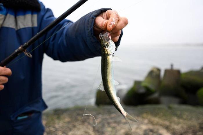 Обложка © ТАСС / Александр Мелехов