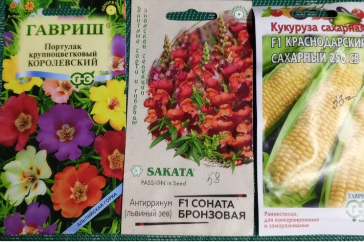 Семена.