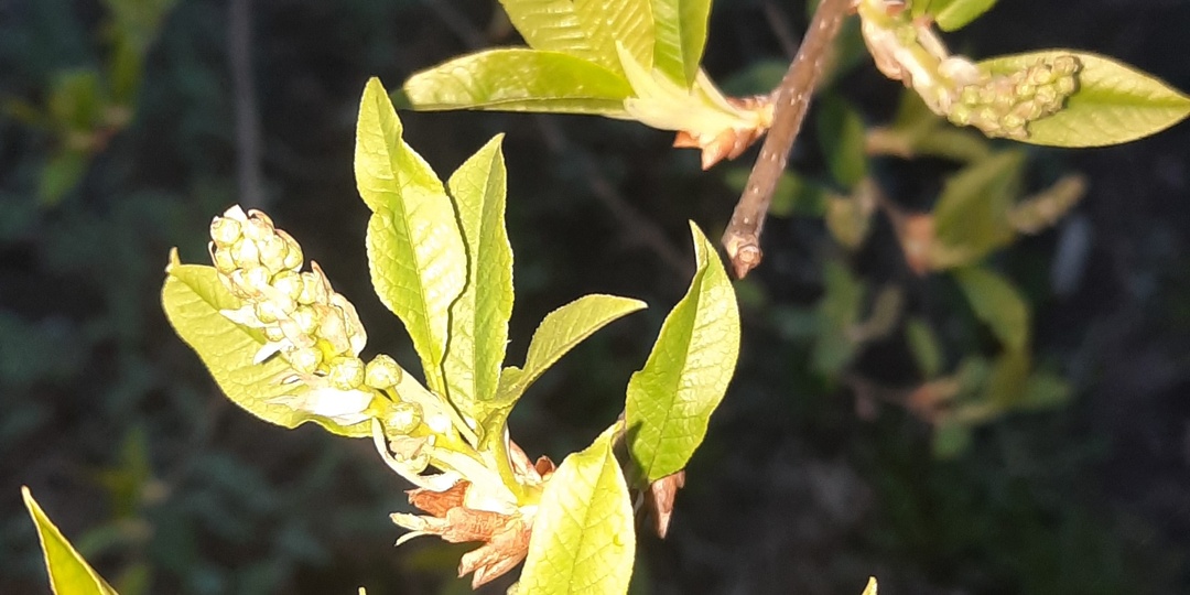 Уголовное дело 🫣