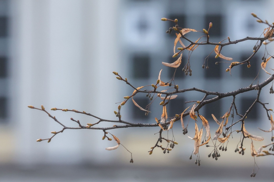    Наталья Шатохина/NEWS.ru