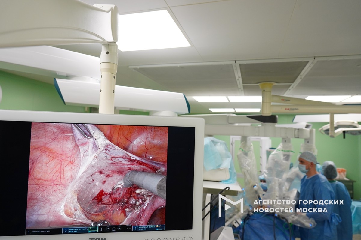 Фотограф: Александр Авилов/Агентство «Москва»