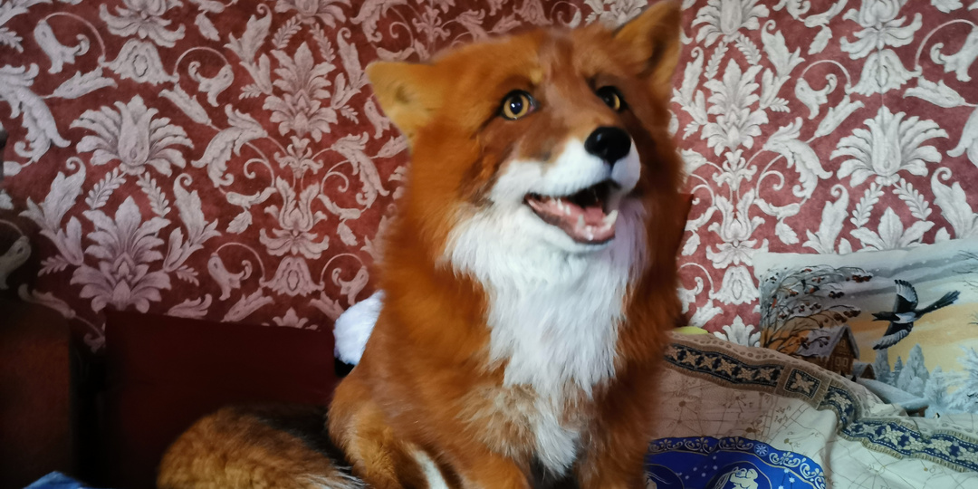 С днём рождения меня! Дневник лисы