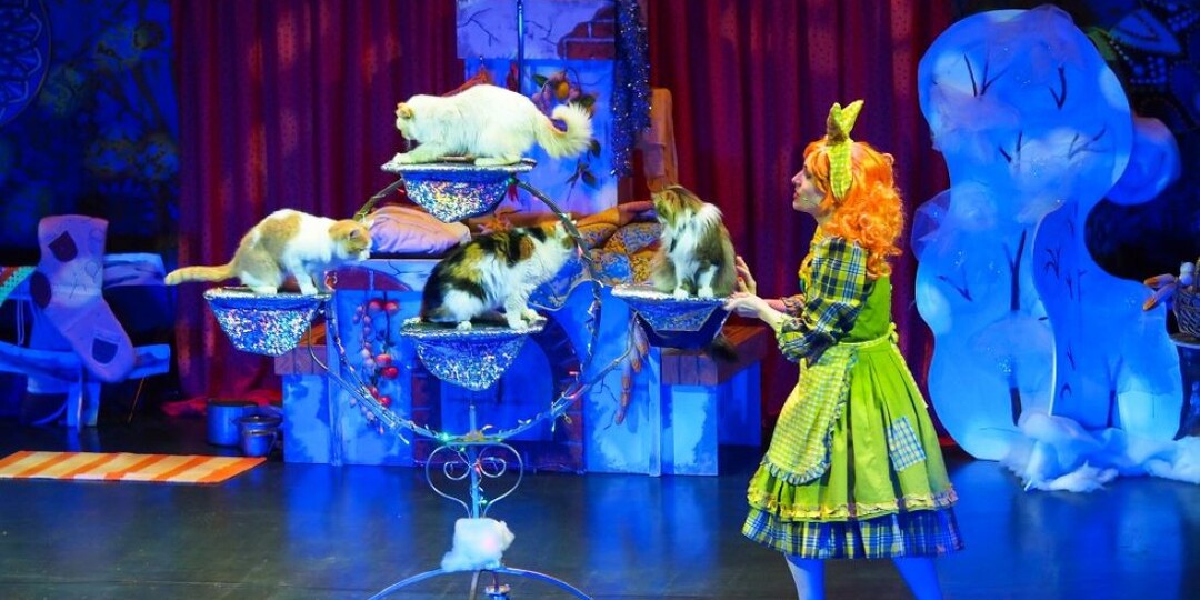 Кошки против королевства микробов: что покажет театр Юрия Куклачёва в Крыму