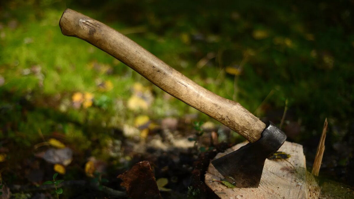 Иллюстративное фото/© Sputnik