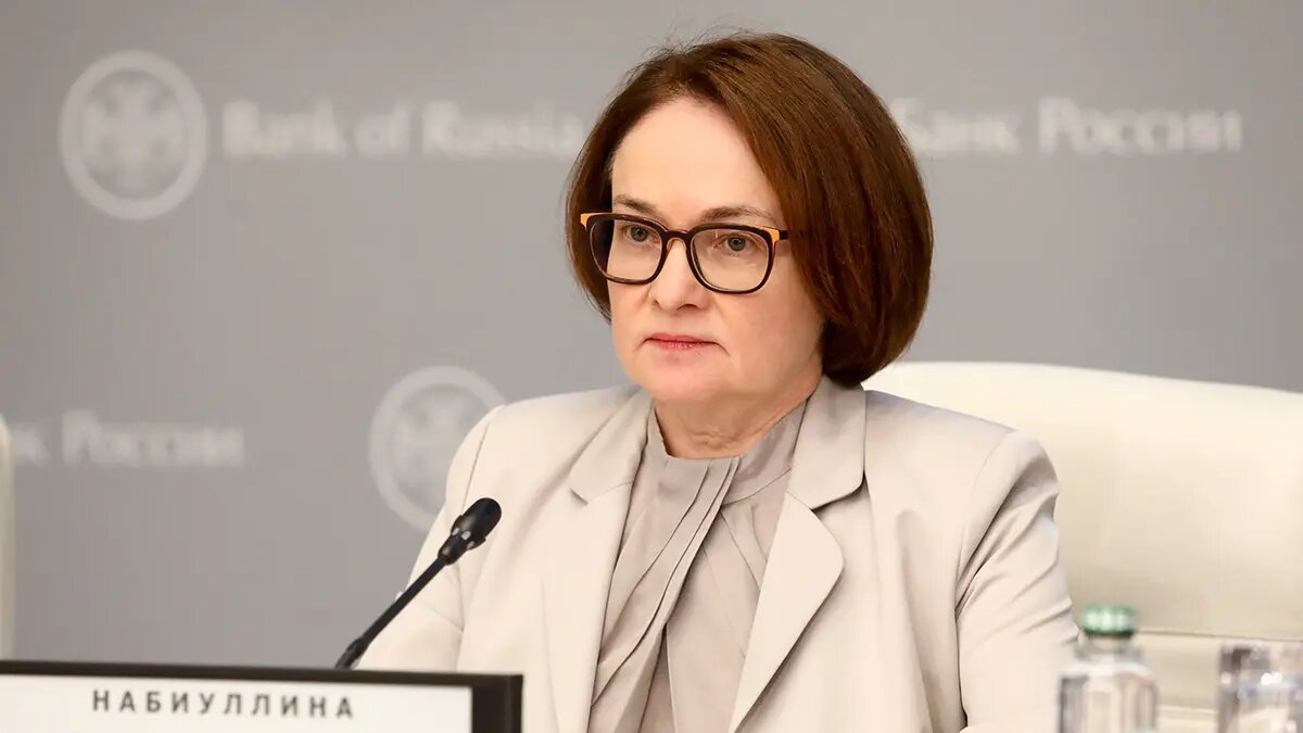    Источник: vm.ru/ Мила Кузнецова