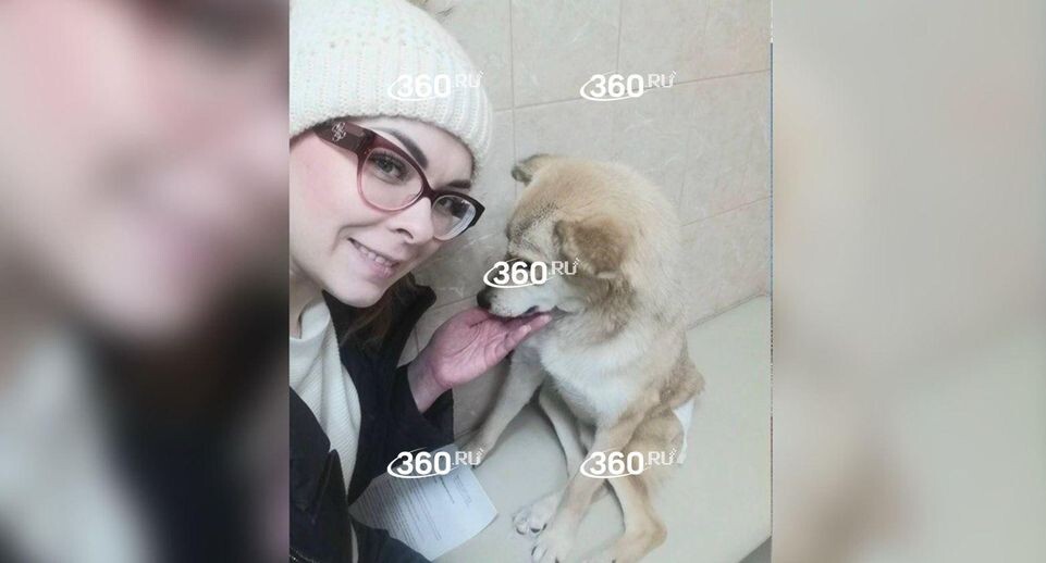 «Она молчала, что ей так плохо»: в Омске волонтер СВО умерла после нападения