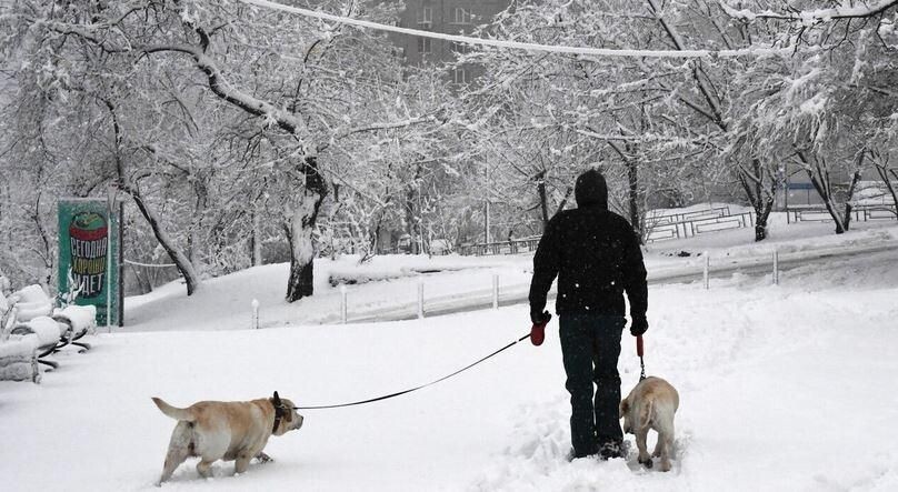    РИА «Новости»