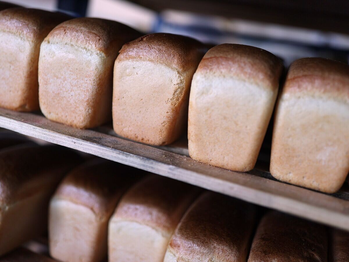    Производство хлеба© РИА Новости . Виталий Тимкив