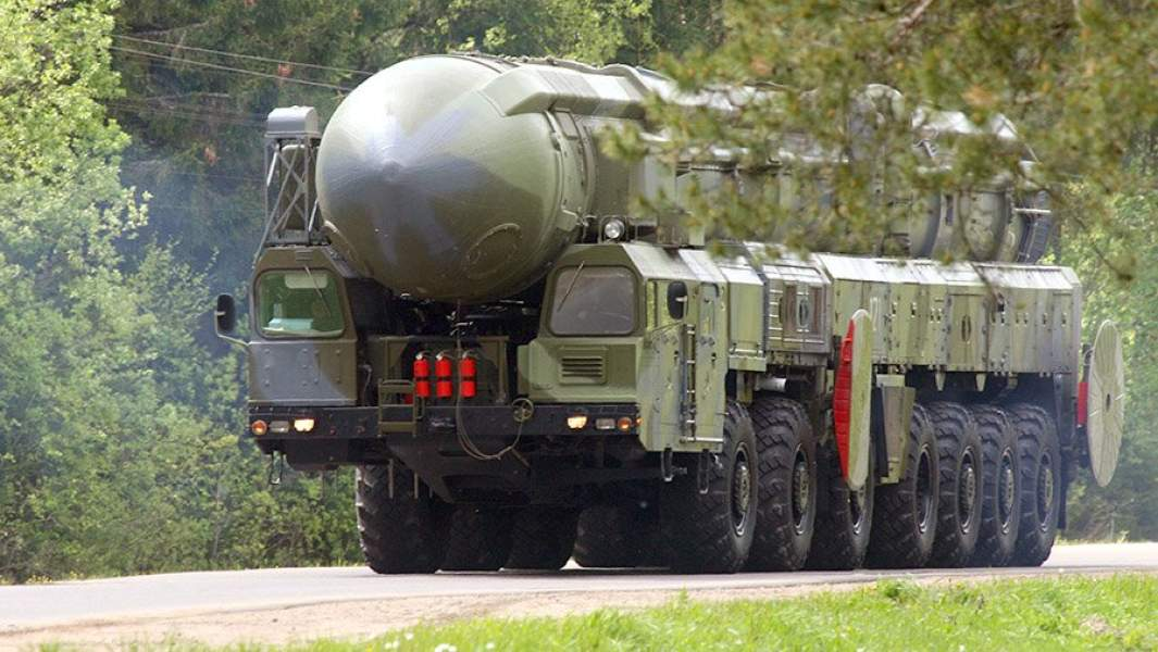 Тополь. Фото из открытых источников интернет