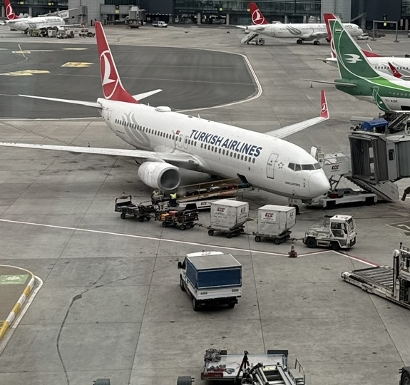 Перелет авиакомпанией Turkish Airlines