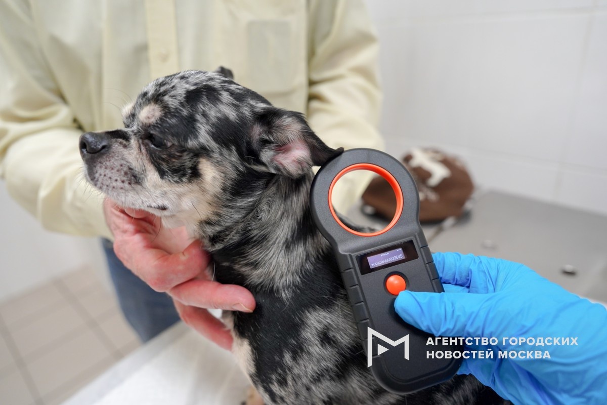 Фото: Александр Авилов/Агентство «Москва»