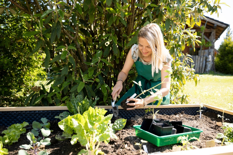    Shutterstock/FOTODOM