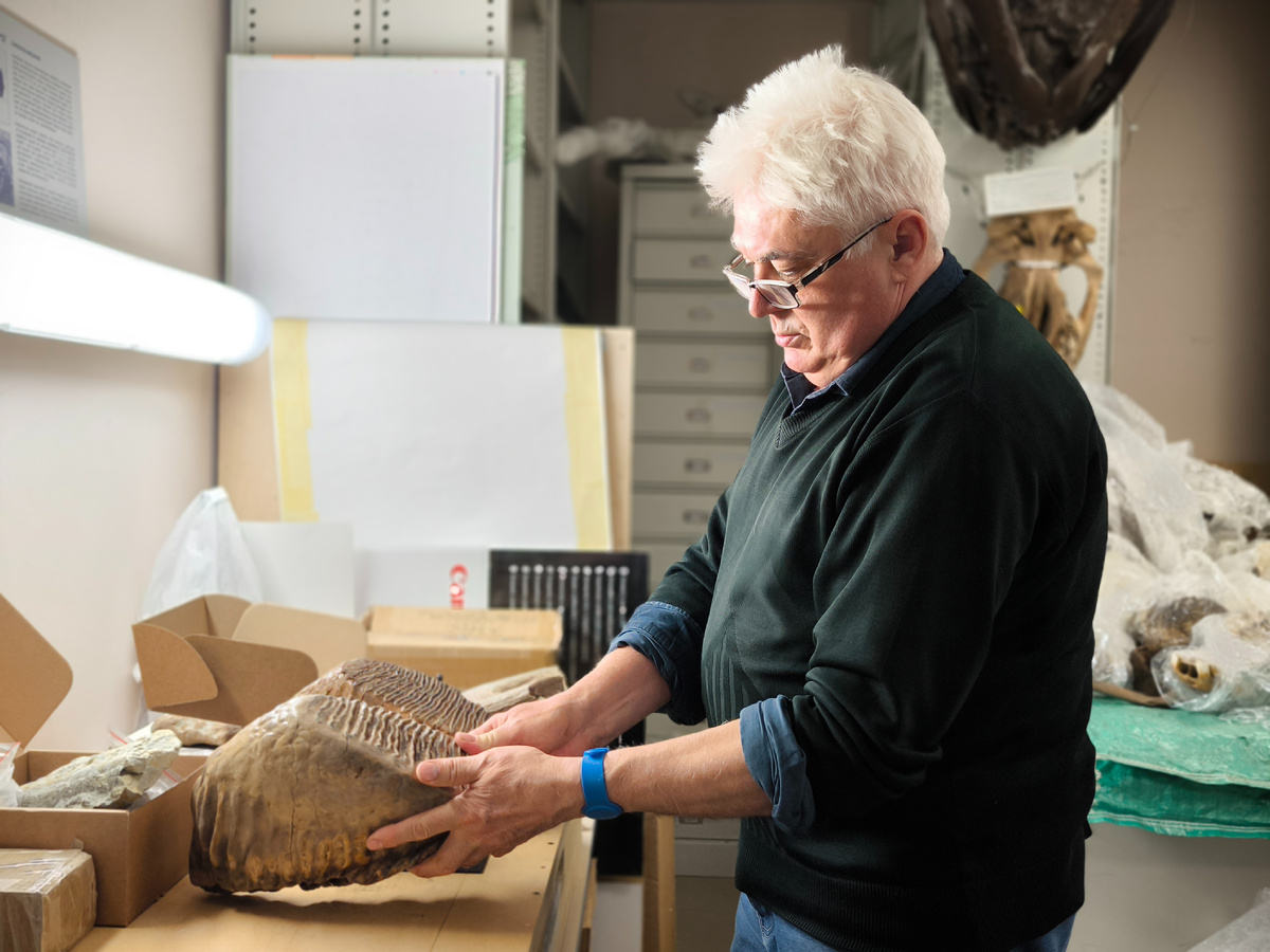 Николай Мартынович, старший научный сотрудник отдела природы, за работой в фондах