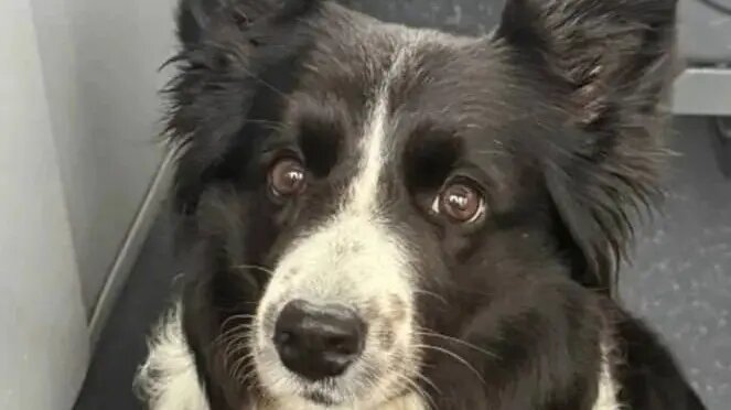    Источник: vm.ru/ Михаил Морозов