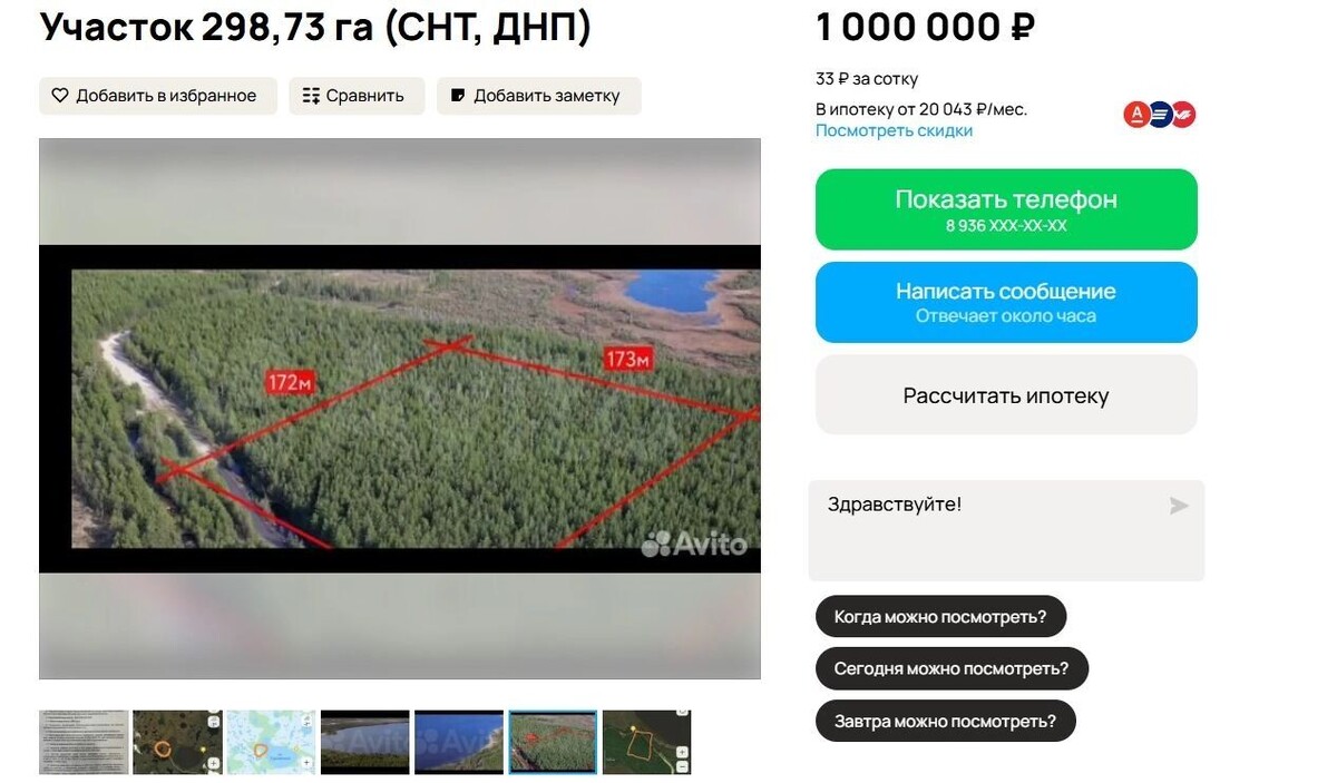   скриншот / Авито