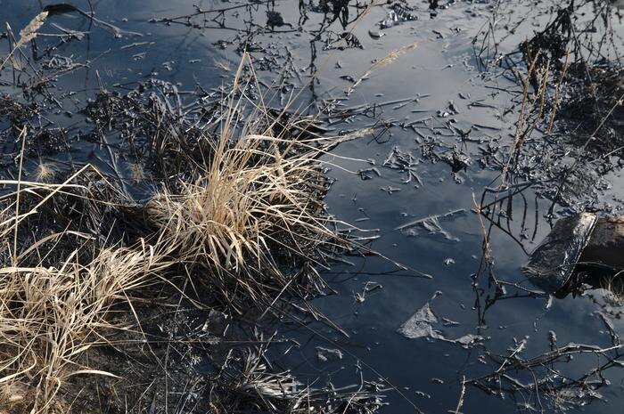 Обложка © Shutterstock / FOTODOM / Alexander Shelpyakov