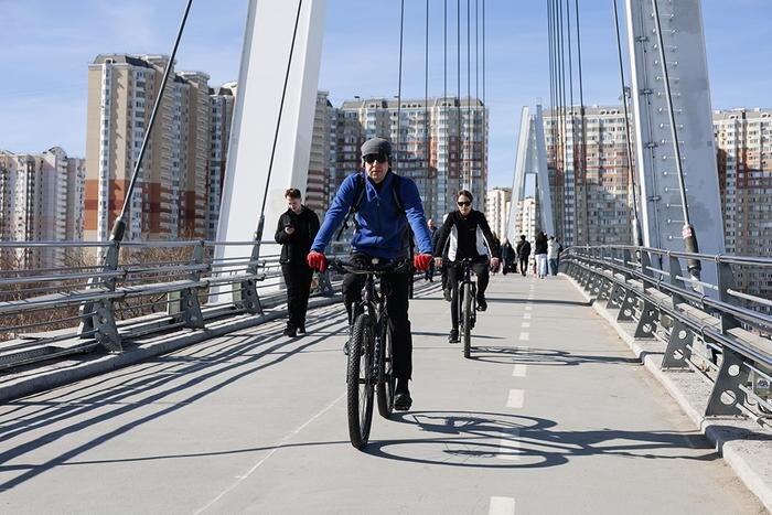 Жители столицы стали активнее кататься на велосипедах. Обложка © ТАСС / Олег Елков