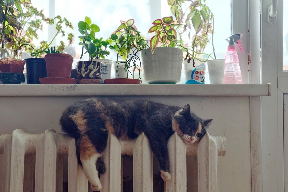    В школах, детсадах и других социальных объектах отопление и не прекращалось Алексей БУЛАТОВ