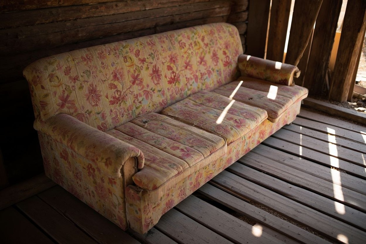 Фото: нейросеть Reve