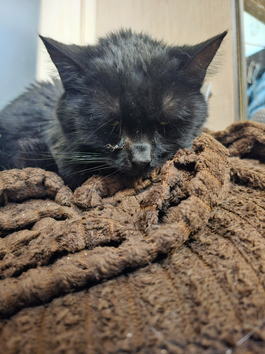 Фото автора. Русик.