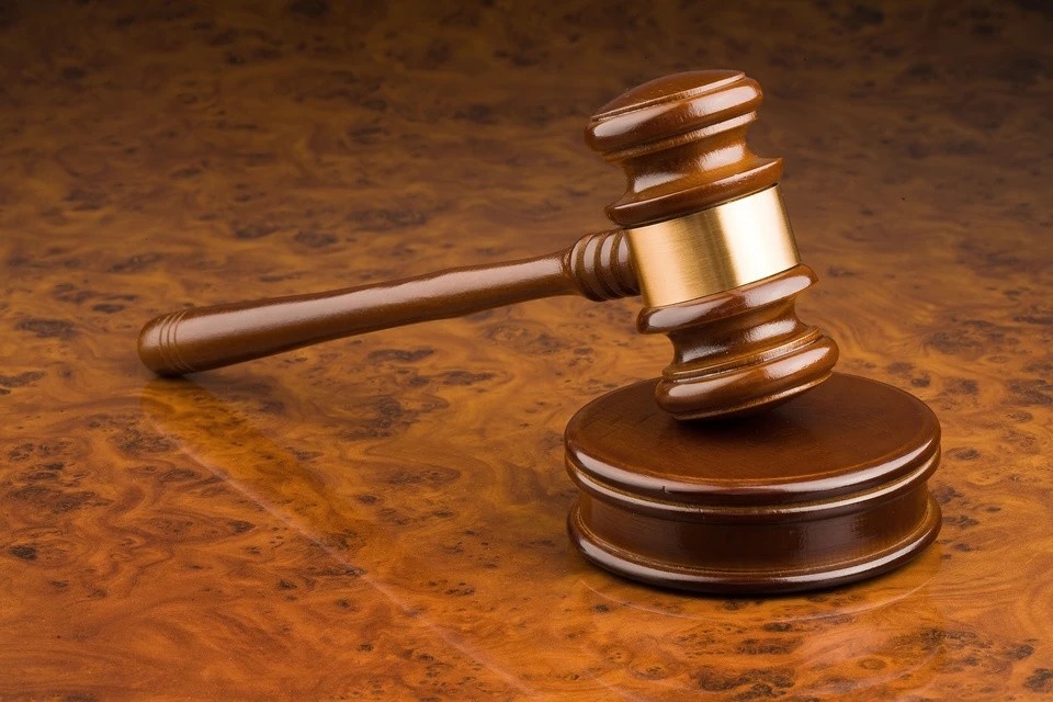    В Новой Москве будут судить мужчину, обвиняемого в жестоком убийстве собаки GLOBAL LOOK PRESS